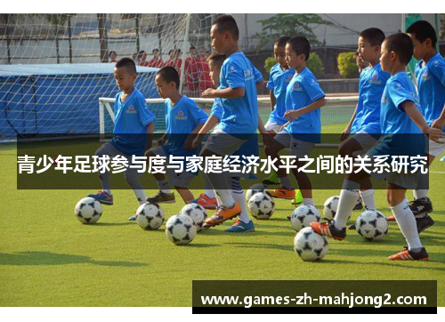 青少年足球参与度与家庭经济水平之间的关系研究 青少年足球参与度与家庭经济水平之间的关系研究